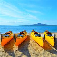 Auckland: Day Sea Kayak Tour of Rangitoto Island