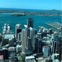 Auckland City Sightseeing by hourly booking