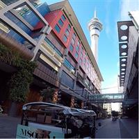 Auckland City Volcano and Scenic Highlights Tour
