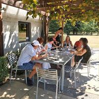 Marlborough Wine Tour - Afternoon Sippers of Wine Only 4hrs