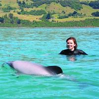 Akaroa Swim with Dolphins Tour from Christchurch