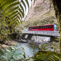 Milford Sound Coach &amp; Cruise ex Te Anau Stunning Views with Lunch