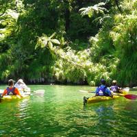 Full day Guided Sea Kayak Tour from Picton