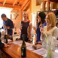 Half-Day Wine Tour from Picton