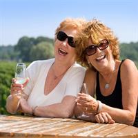 Classic Wanaka Wine Tour