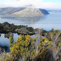 Mou Waho Island Cruise and Guided Nature Walk