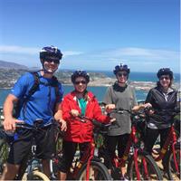 Guided Wellington Tour by Electric Bike