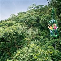 6 in 1 RainForest Adventure From San Jose