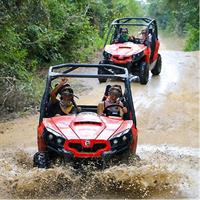 Buggy Expedition. Private Tour from San Jose