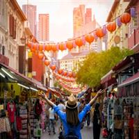 City Tour+Gardens by the Bay(FlowerDome&amp;JurassicWorld) Transfers