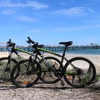 Adelaide City to Sea Bike Tour