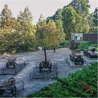 768,000 vs 150,000: Battle for the Seelow Heights 1945