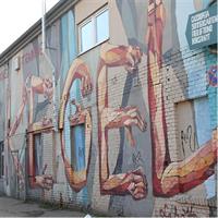 4h Graffiti Private City Tour with Vehicle and Photographer Guide