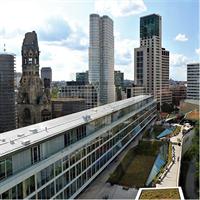 5hours: Guide, Chauffeur &amp; Photographer in Berlin private Tour