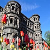 Trier - Private Guided Walking Tour