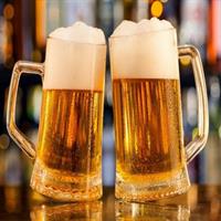 Belgrade Local Craft Beer Tasting Tour