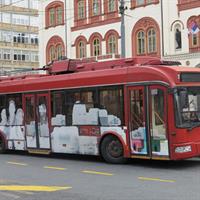 BELGRADE BUS AND WALKING TOUR, Experience daily life