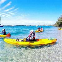 Gold Coast Kayaking &amp; Snorkelling Tour (2.5 Hours)