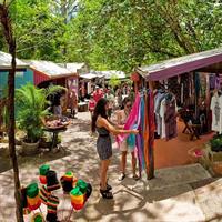 Adventure on a Budget Visit Kuranda or Palm Cove from Pt Douglas