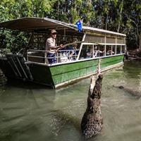 Hartley's Crocodile Adventures Day Trip from Palm Cove