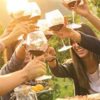 /images/asst/71/italy_-_wine_tasting_-768945-500.jpg