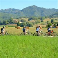 Active Full Day Tuscan Bike Tour With Wine Tasting and Lunch