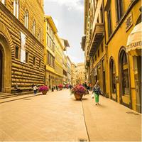 BEST OF FLORENCE Private Walking Tour