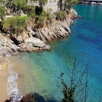 Snorkel Tour in Paraggi Bay
