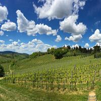 Brunello Vineyards Bus Tour