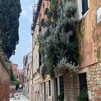 Another Side of the City: Discovering Authentic Venice