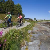 Explore Tromso by E-bike - Guided Ride on Electric Bike in Tromso