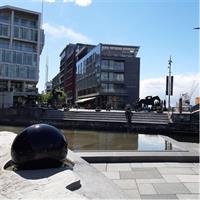 Christmas Tour &amp; Christmas Market with a Local Guide