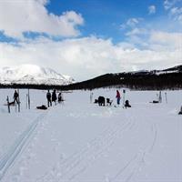 Ice Fishing On The Fjord