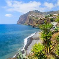 Camara de Lobos and Funchal Hop-On Hop-Off Bus Tour
