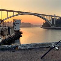 /images/asst/74/porto_-_river_morning_view_-663081-500.jpg