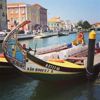 Aveiro Small-Group: Half Day Tour with Boat Ride