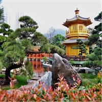 Hong Kong Discovery [8 hours with car]