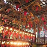 Hong Kong Discovery Tour with private car [5 hours]
