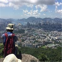 Half-day Hiking Tour in The Green to Lion Rock in Hong Kong