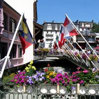 Chamonix Day Trip and Geneva City Tour