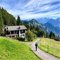 From Zurich: Beginner Alpine Hike &amp; Scenic Mountain Private Tour