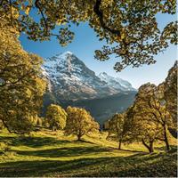 Grindelwald, Interlaken and Lauterbrunnen Day Trip from Lucerne