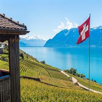 Panoramic Wine Tour From Montreux
