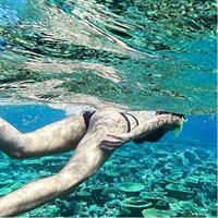 Snorkeling and Villigili island tour