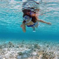 Guided Snorkeling Trip