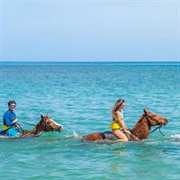 ATV, Horse Ride, Zipline, Falls Climb with Lunch from Montego Bay