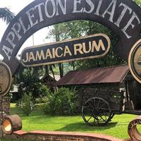 Appleton Estate Rum Tour