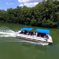 Black River Safari and YS Water Falls