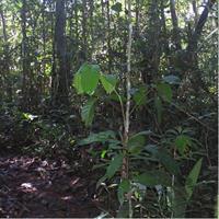 Caves and Waterfalls Day Tour