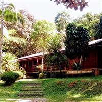 Rain Forest Trail Cantareira Natural Park from Sao Paulo